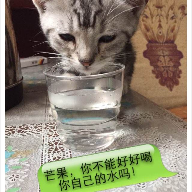 俄亥俄卫斯里昂大学学历认证